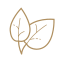 CraveWise
