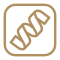 CraveWise